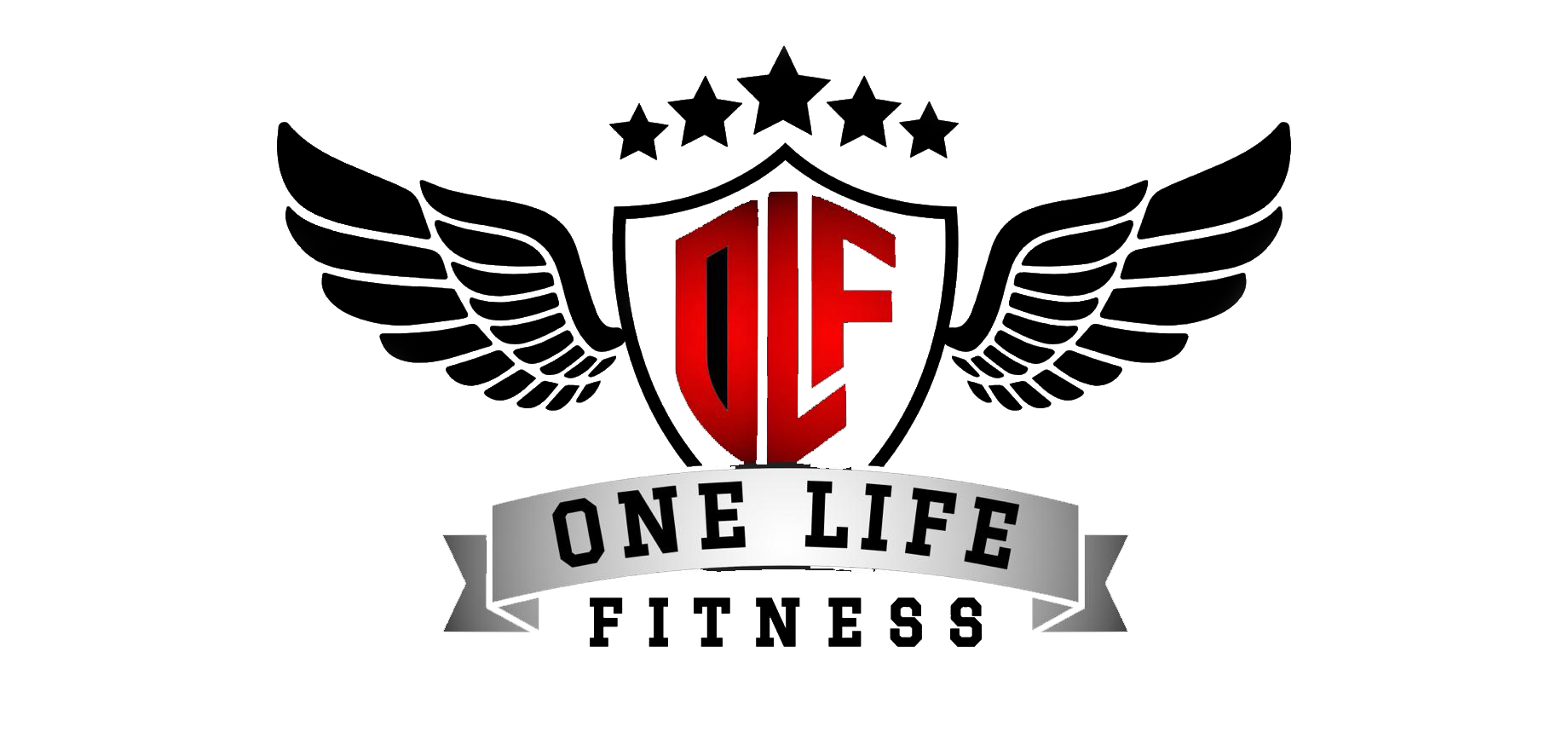 One life fitness